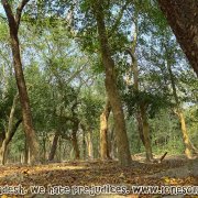 Tengragiri Wildlife Sanctuary